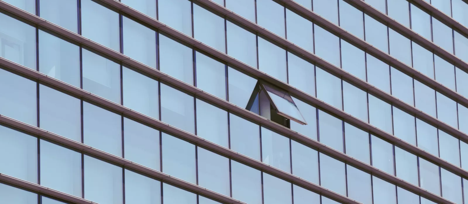 XML-RPC et l'API REST, des risques de s&eacute;curit&eacute; pour votre site Wordpress