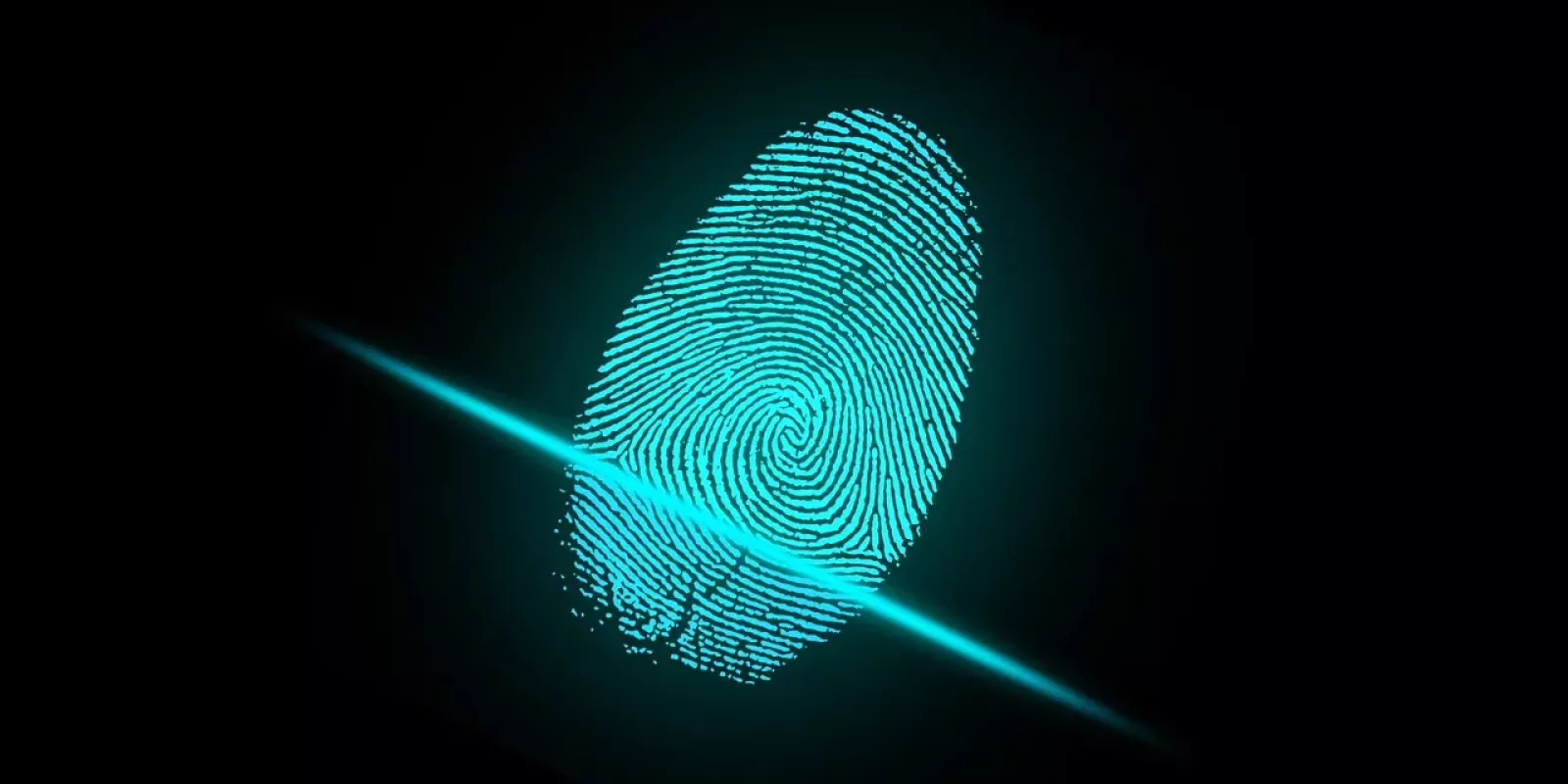 L'authentification &agrave; facteurs multiples pour prot&eacute;ger votre site web